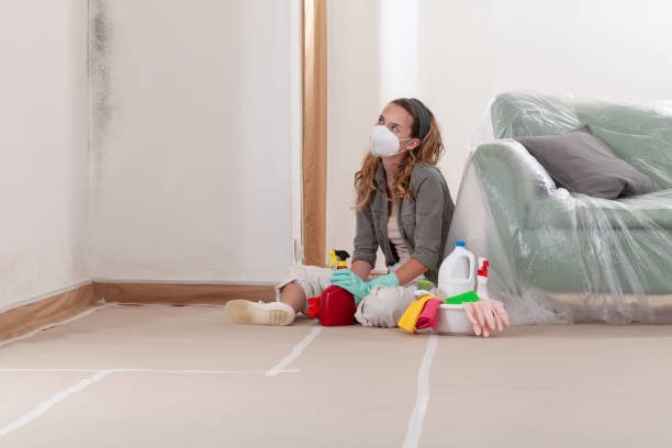 Reliable Crawl Space Mold Removal contractor in Lake Grove, NY by WQB Mold Removal